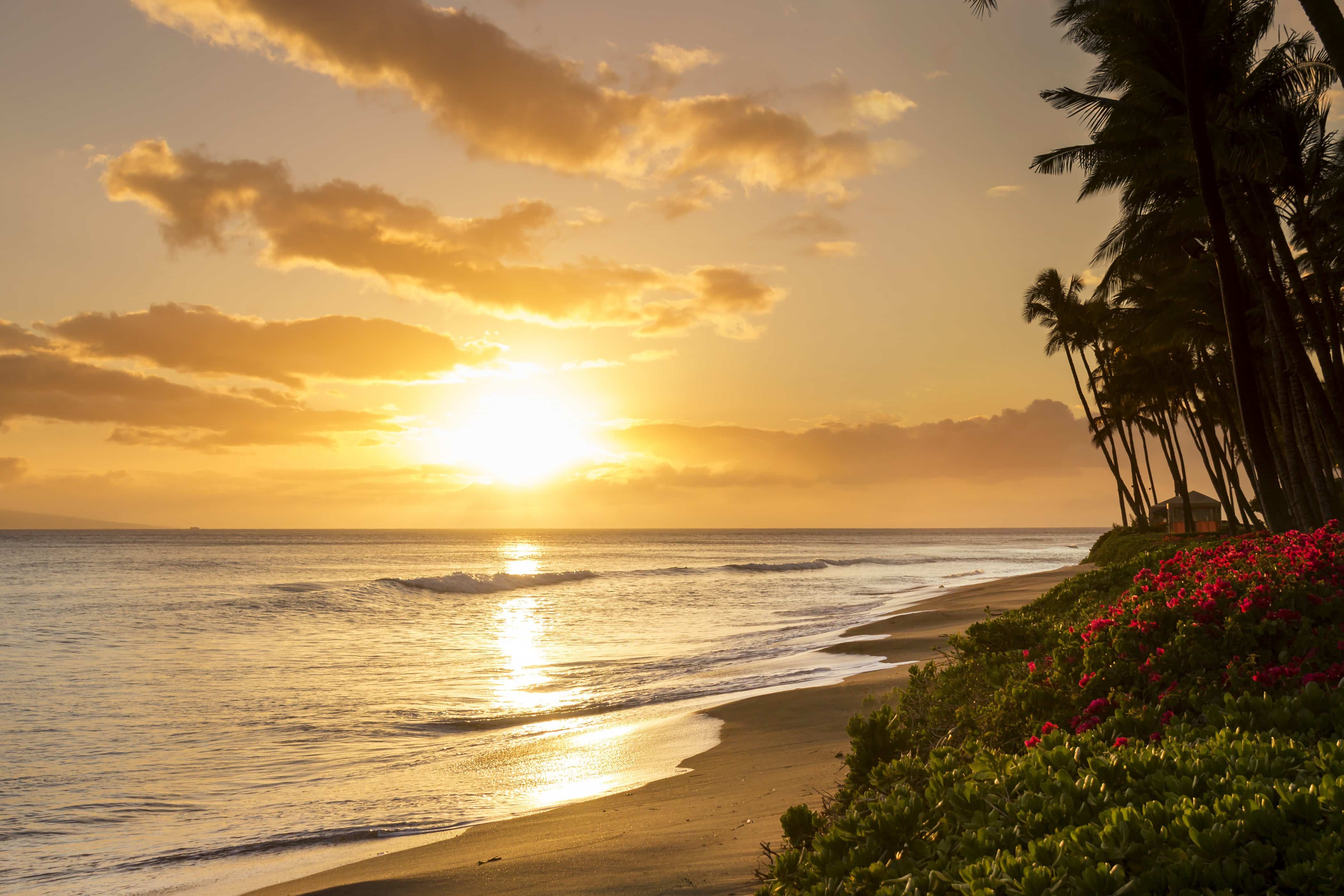Sunset maui hawaii