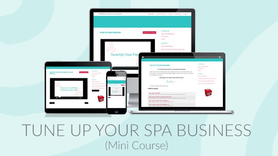 tune up your spa business esthetician mini course maxine drake